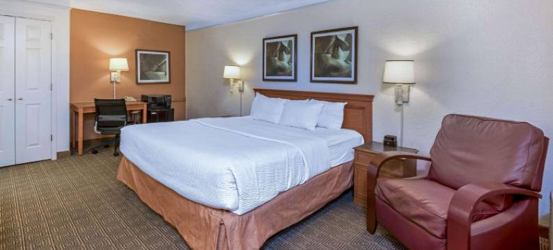 圣安东尼奥I-35瑞特曼路拉昆塔温德姆酒店(La Quinta Inn by Wyndham San Antonio I-35 N at Rittiman Rd)图片