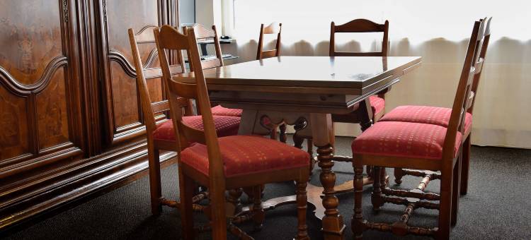 罗特豪斯酒店(Hotel Rothaus Luzern & Peruvian Culinary Art)图片