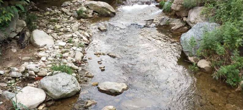 老君山溪上沐舍客栈图片