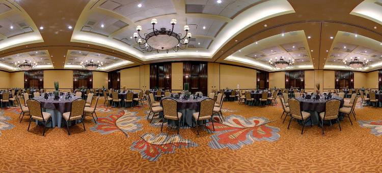 斯通布赖尔威斯汀酒店及高尔夫俱乐部(The Westin Dallas Stonebriar Golf Resort & Spa)图片