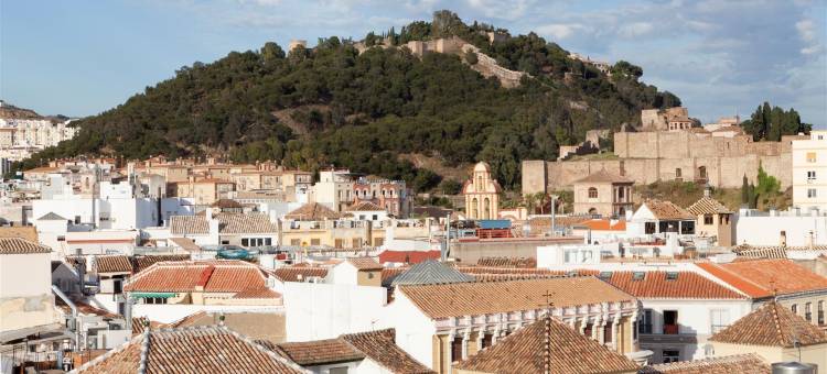 马拉加佩蒂特宫广场酒店(Petit Palace Plaza Málaga)图片