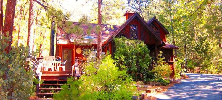 伊迪尔瓦尔德度假木屋(Always Inn Idyllwild Vacation Cottages)图片