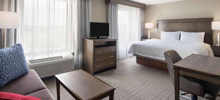 希尔顿欢朋套房酒店-亚历山大南旧城区(Hampton Inn & Suites Alexandria Old Town Area South)图片