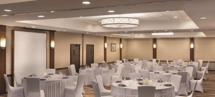 大急流城河滨丽筠酒店(Radisson Hotel Grand Rapids Riverfront)图片