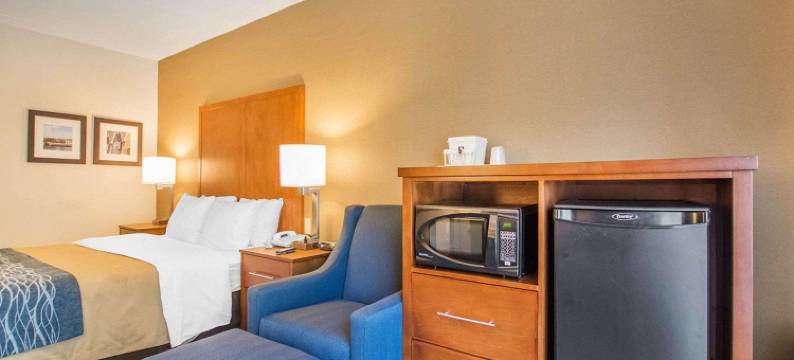 巴瑟斯特舒适酒店(Comfort Inn)图片