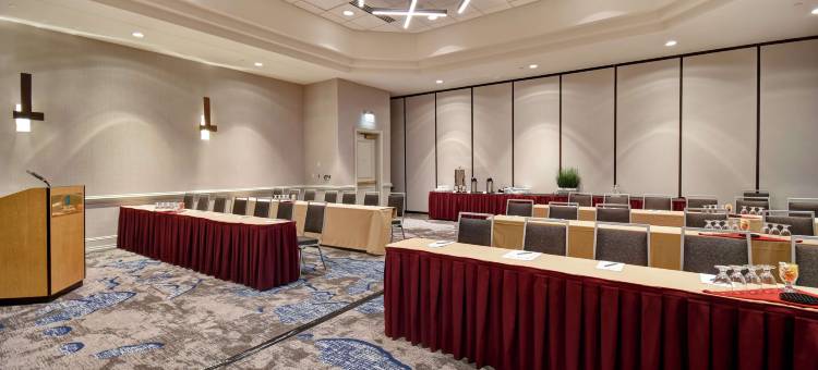 查尔斯顿希尔顿安泊酒店(Embassy Suites by Hilton Charleston)图片