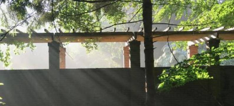 Amsterdamgarden - Stunning Garden Villa with Pool Close to Amsterdam图片