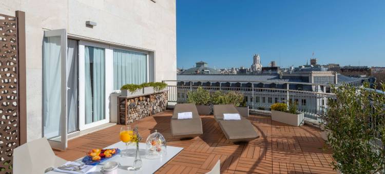 马德里苏西亚NH酒店(NH Collection Suecia)图片