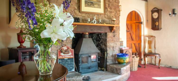 迪尼家庭旅馆(The Dinney B&B)图片