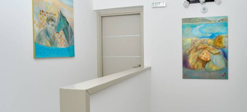 斑马(Zebra Hotel)图片