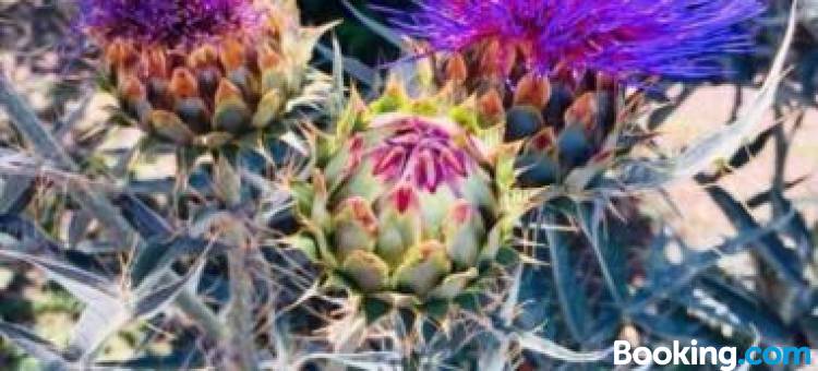 Quinta San Jose Los Cardales图片