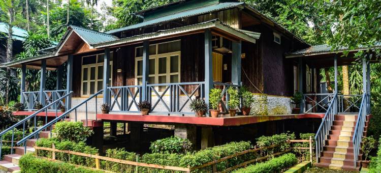 阿拉亚丛林度假村(Aranya Jungle Resorts)图片