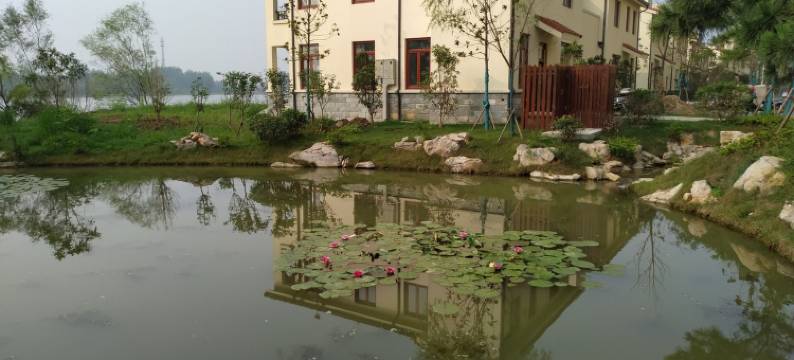 美图公寓(江扬路1号分店)图片