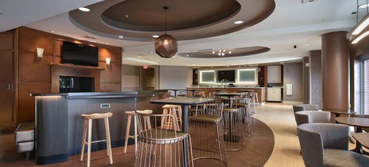 哥伦比亚市中心／维斯塔商业区万豪SpringHill酒店(SpringHill Suites Columbia Downtown/The Vista)图片