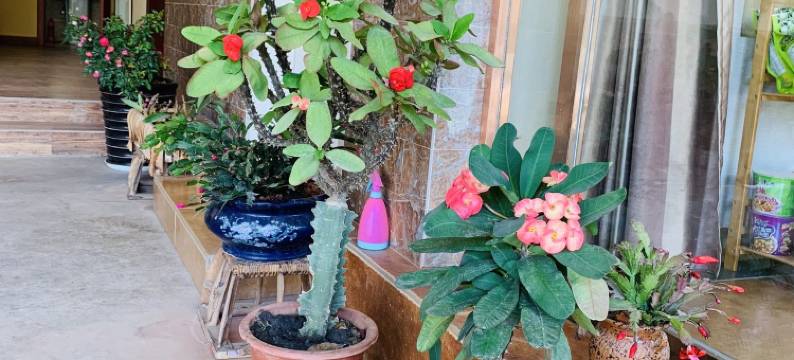 西双版纳傣珏别院图片