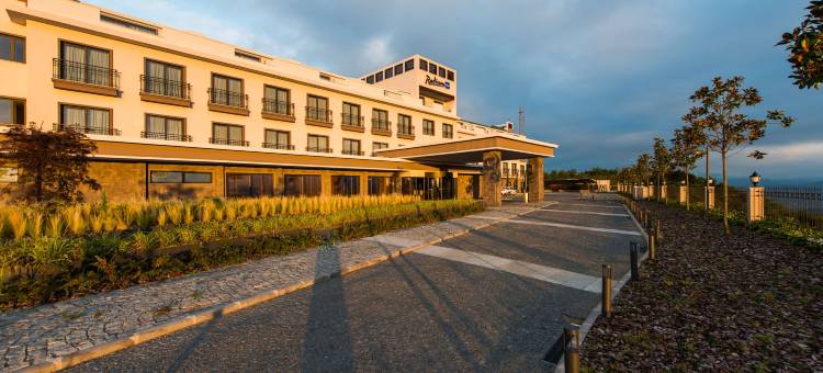 奥尔杜丽笙酒店(Radisson Blu Hotel, Ordu)图片