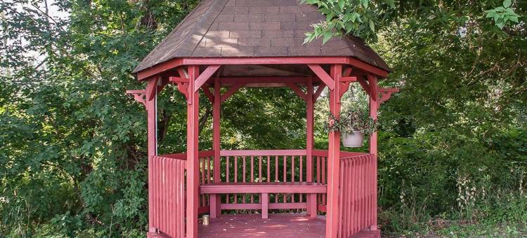 舒适酒店(Comfort Inn)图片