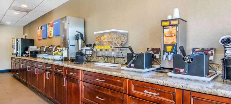 亚特兰大市区南舒适酒店(Comfort Inn Atlanta Downtown South)图片