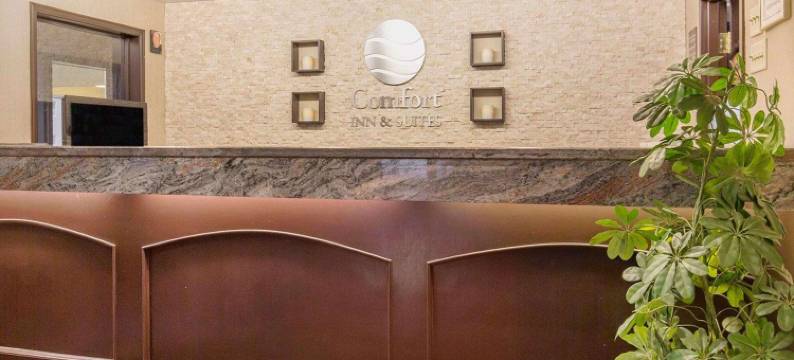 舒适酒店及套房大学(Comfort Inn & Suites University)图片