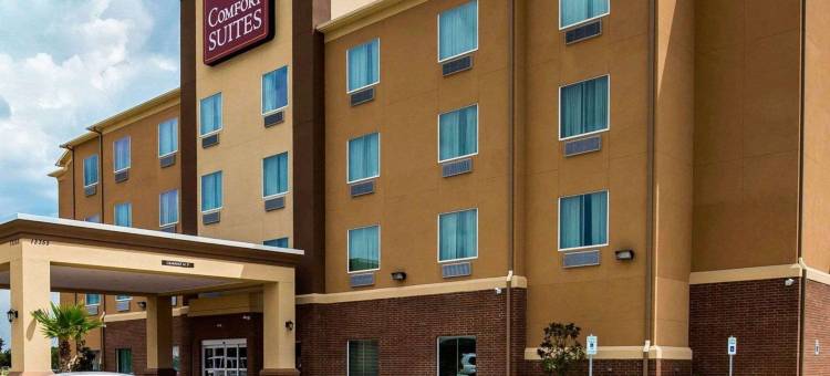 舒适套房酒店-西北赛菲尔(Comfort Suites Northwest - Cy - Fair)图片