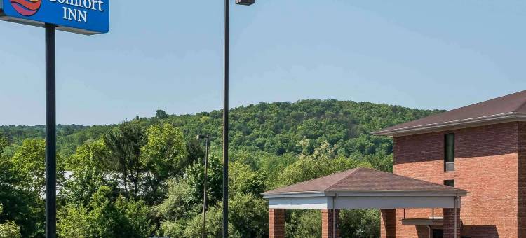 舒适酒店客栈松树林I-81赫尔希地区(Comfort Inn Pine Grove I-81 Hershey Area)图片