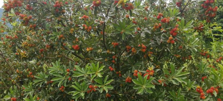 恬然农庄(浒里村分店)图片