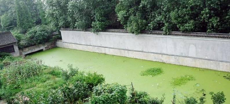 那些年·心灵乌托邦设计师临河美宿(乌镇大剧院西栅景区店)图片