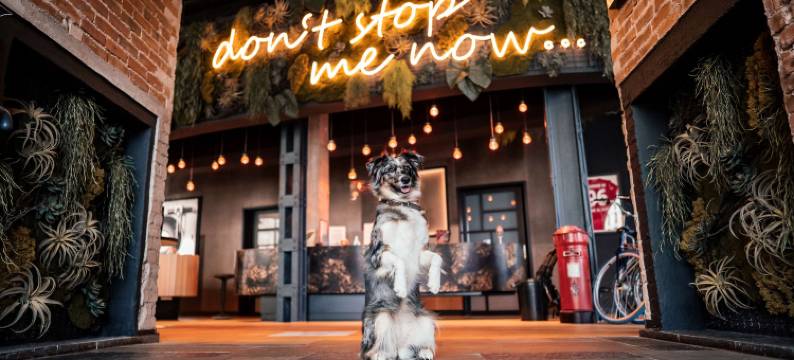 Me and All Hotel Hanover, by Hyatt图片