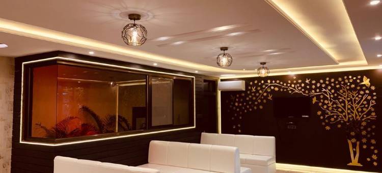 萨蒂亚迪普旅馆(Satyadeep Inn)图片