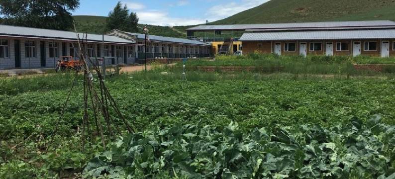 沽源五木园山庄图片