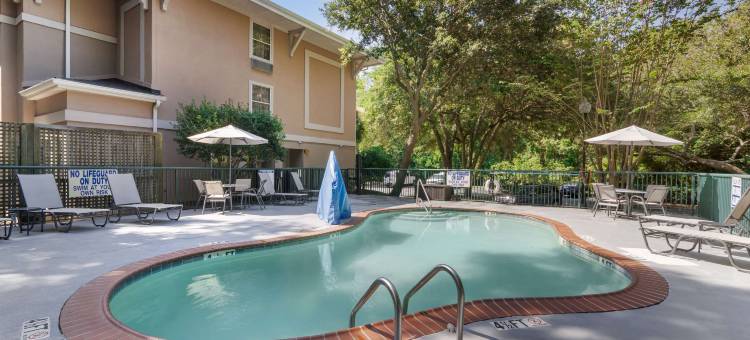 芒特普林森查尔斯顿舒眠酒店(Sleep Inn Mt. Pleasant - Charleston)图片