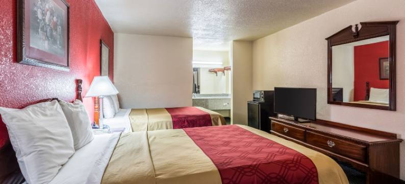 布林克利伊克诺旅馆(Econo Lodge & Suites Brinkley)图片