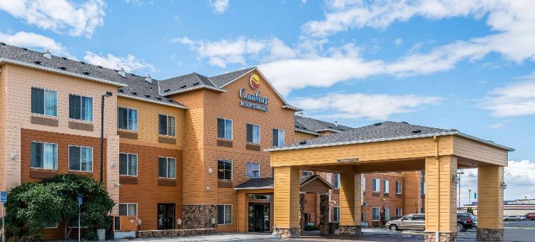 舒适套房酒店(Comfort Inn & Suites)图片