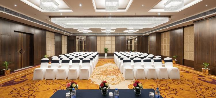 齐普尔西格内特公园BL酒店(Cygnett Park BL)图片