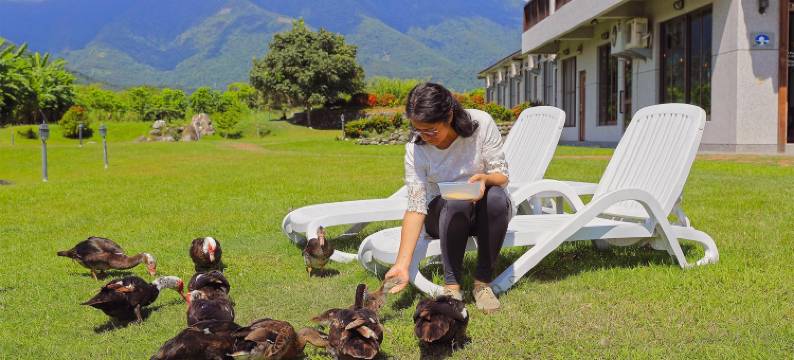 花莲夏洛克民宿图片