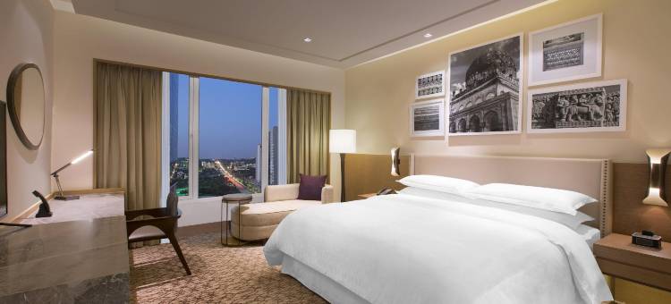 海得拉巴喜来登酒店(Sheraton Hyderabad Hotel)图片