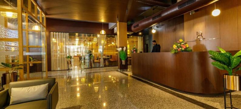 Benale International图片