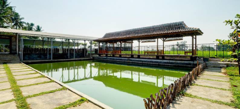 首都O 93238伦巴姆巴隆度假村(Lembah Mbalong Resort Mitra RedDoorz Near Exit Tol Singosari)图片