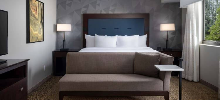 图森东希尔顿安泊酒店(Embassy Suites by Hilton Tucson East)图片