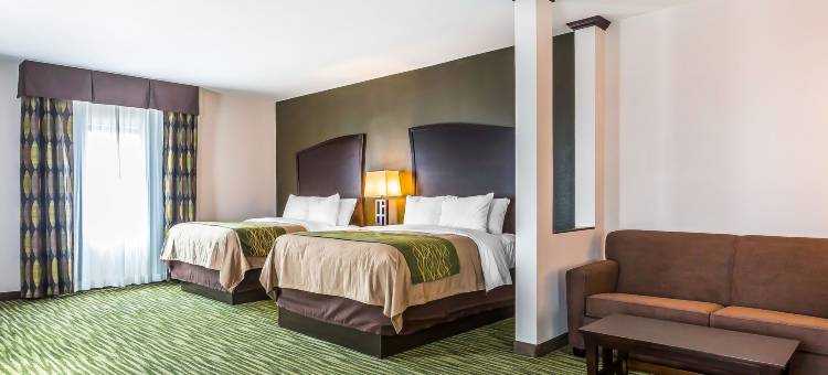 舒适套房酒店-穆尔俄克拉何马市(Comfort Inn & Suites Moore - Oklahoma City)图片