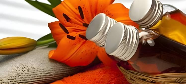 奥普尔卡雷住宿加早餐旅馆(Au Pré Carré)图片