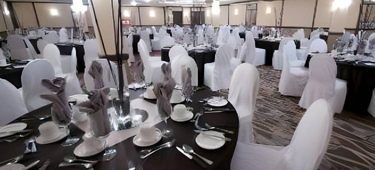 佛特盖瑞目的地中心堪纳得酒店(Canad Inns Destination Centre Fort Garry)图片