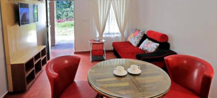 奥特维山旅馆(Ottway Hills Near Mattupetty DAM)图片