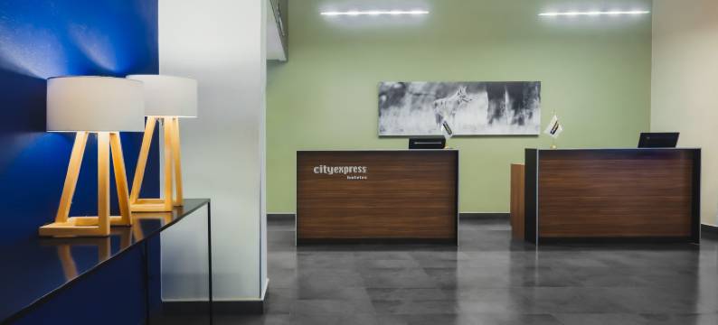 塞拉亚加莱里亚斯万豪城市快捷酒店(City Express by Marriott Celaya Galerias)图片