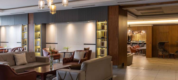 拉各斯伊凯贾丽笙酒店(Radisson Blu Hotel, Lagos Ikeja)图片