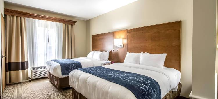 会议中心及舒适套房酒店(Comfort Suites Hotel and Conference Center)图片