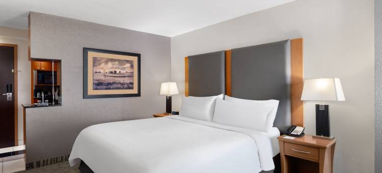 卡尔加里机场假日酒店(Holiday Inn Calgary-Airport)图片