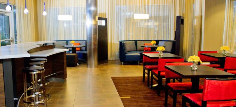 费城斯普林菲尔德庭院(Courtyard Philadelphia Springfield)图片