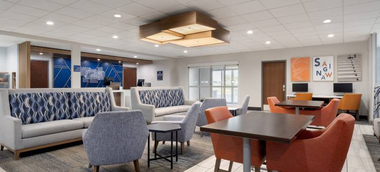 萨吉诺智选假日套房酒店(Holiday Inn Express & Suites Saginaw)图片