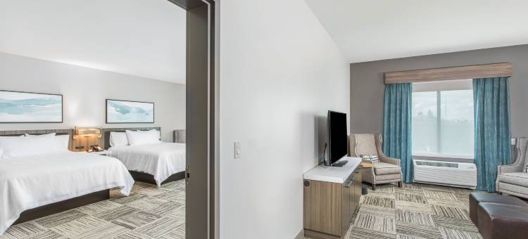 希尔顿花园酒店哈灵根会议中心(Hilton Garden Inn Harlingen Convention Center)图片
